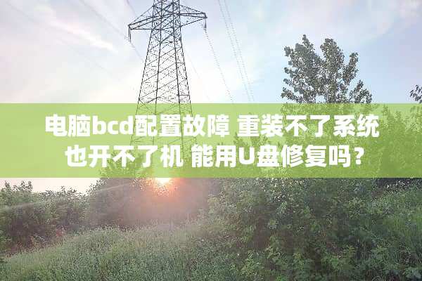电脑bcd配置故障 重装不了系统 也开不了机 能用U盘修复吗？