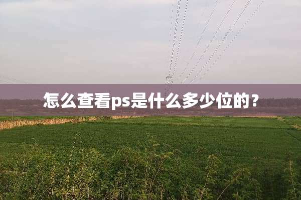 怎么查看ps是什么多少位的？