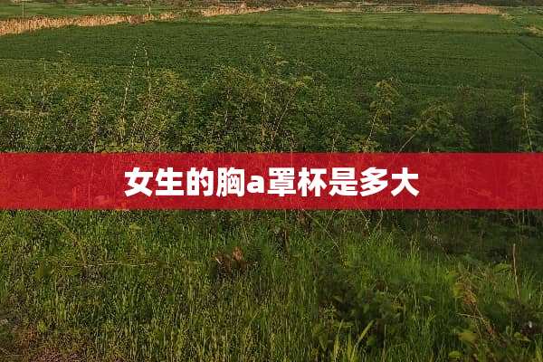 女生的胸a**是多大