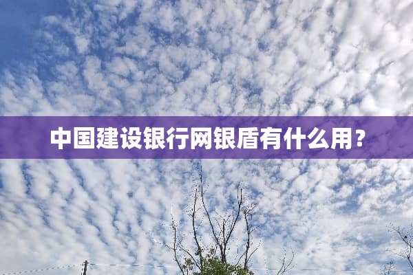 中国建设银行网银盾有什么用？