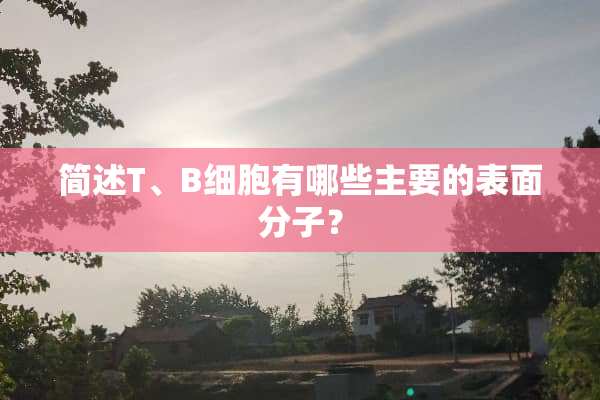 简述T、B细胞有哪些主要的表面分子？