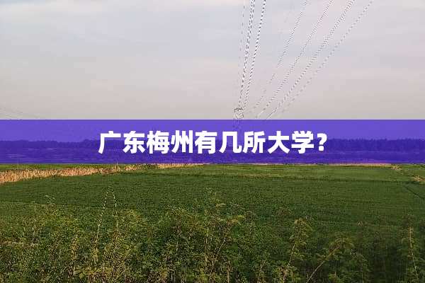 广东梅州有几所大学？