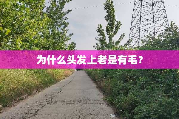 为什么头发上老是有毛？