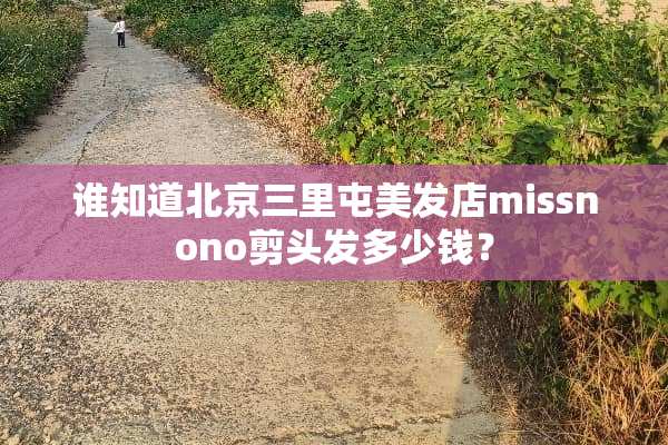 谁知道北京三里屯美发店missnono剪头发多少钱？