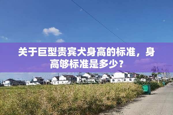 关于巨型贵宾犬身高的标准，身高够标准是多少？