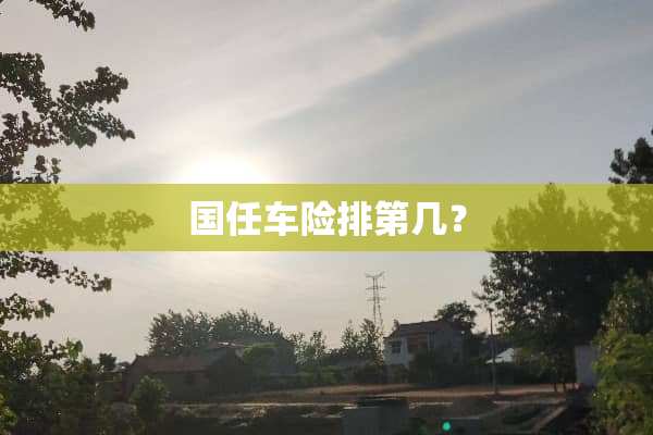 国任车险排第几？