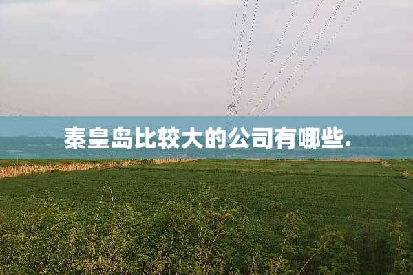 秦皇岛比较大的公司有哪些.