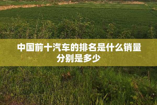 中国前十汽车的排名是什么销量分别是多少