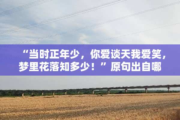 “当时正年少，你爱谈天我爱笑，梦里花落知多少！”原句出自哪里？