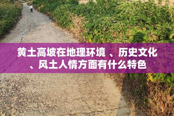 黄土高坡在地理环境 、历史文化、风土人情方面有什么特色