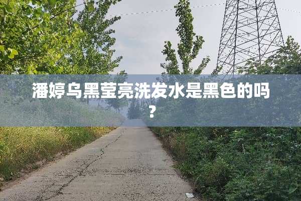 潘婷乌黑莹亮洗发水是黑色的吗？