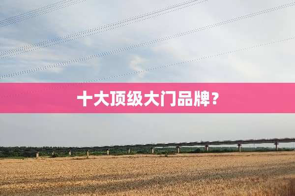 十大**大门品牌？