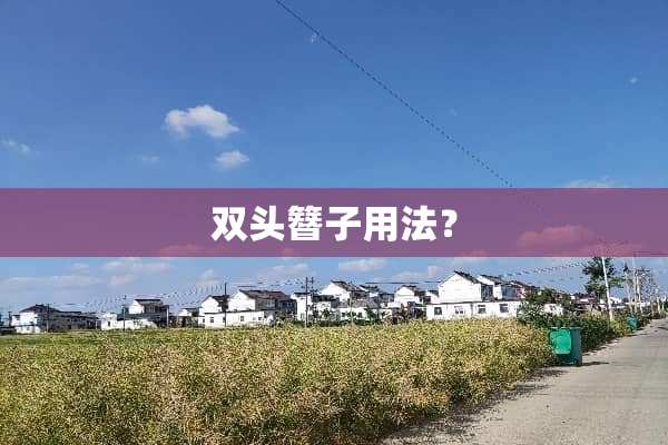 双头簪子用法？