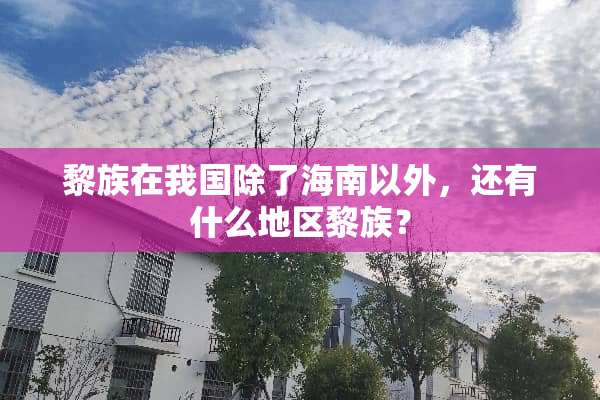 黎族在我国除了海南以外，还有什么地区黎族？
