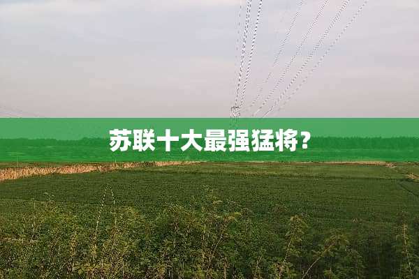 苏联十大最强猛将？
