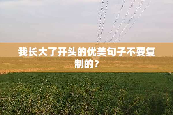 我长大了开头的优美句子不要复制的？