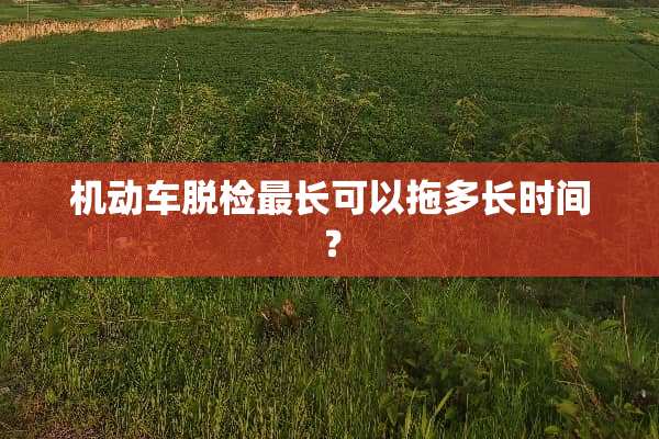 机动车脱检最长可以拖多长时间？