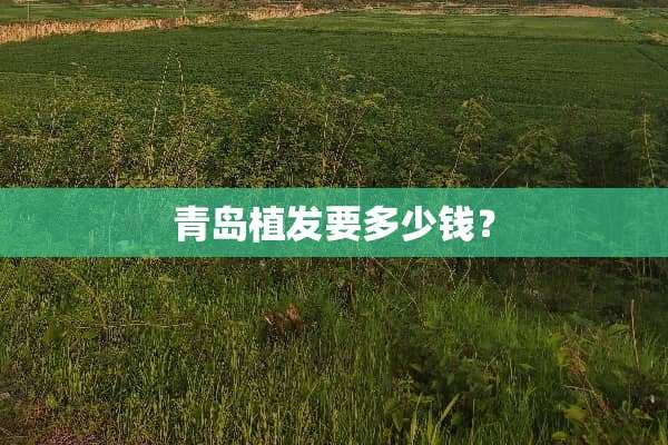 青岛植发要多少钱？
