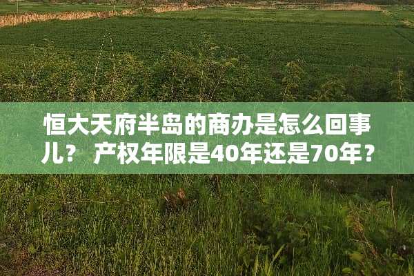 恒大天府半岛的商办是怎么回事儿？ 产权年限是40年还是70年？