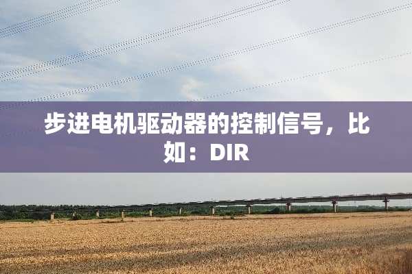 步进电机驱动器的控制信号，比如：DIR