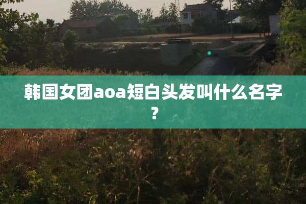 韩国女团aoa短白头发叫什么名字？