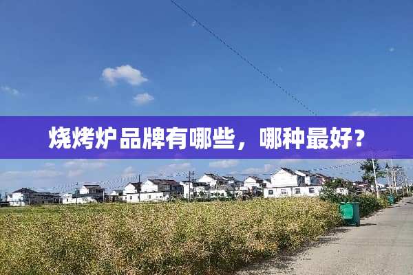 烧烤炉品牌有哪些，哪种最好？