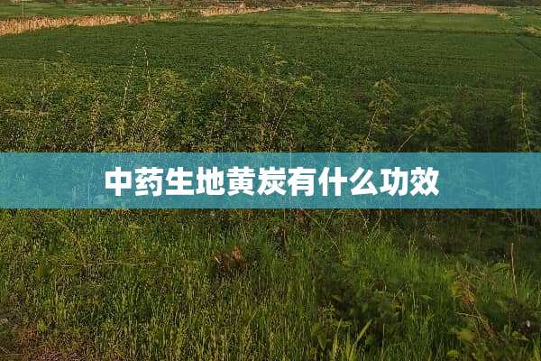 中药生地黄炭有什么功效