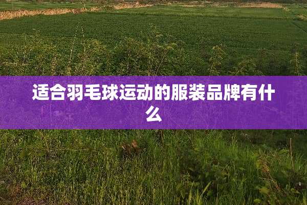 适合羽毛球运动的服装品牌有什么