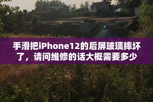 手滑把iPhone12的后屏玻璃摔坏了，请问维修的话大概需要多少钱？