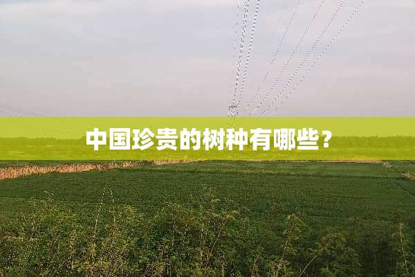 中国珍贵的树种有哪些？
