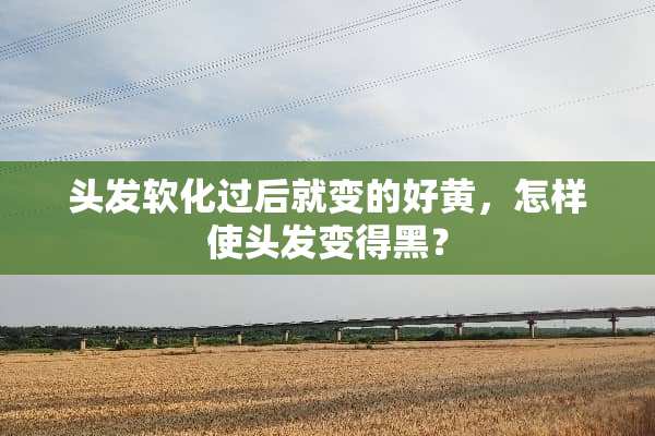 头发软化过后就变的好黄，怎样使头发变得黑？