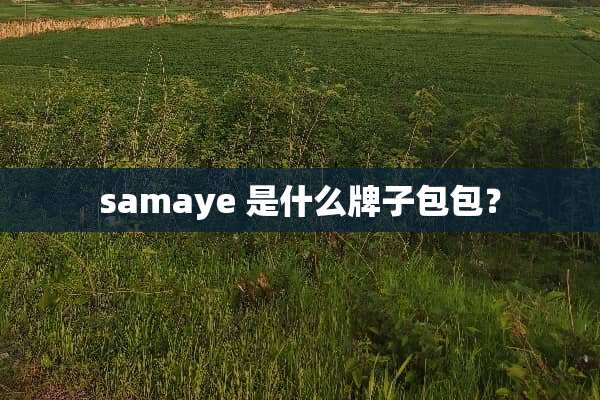 samaye 是什么牌子包包？