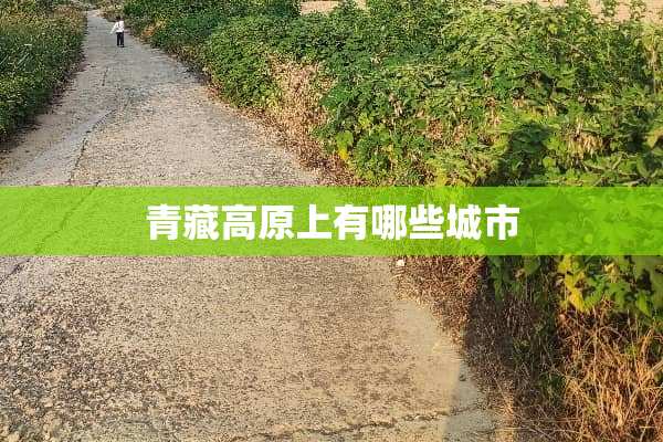 青藏高原上有哪些城市