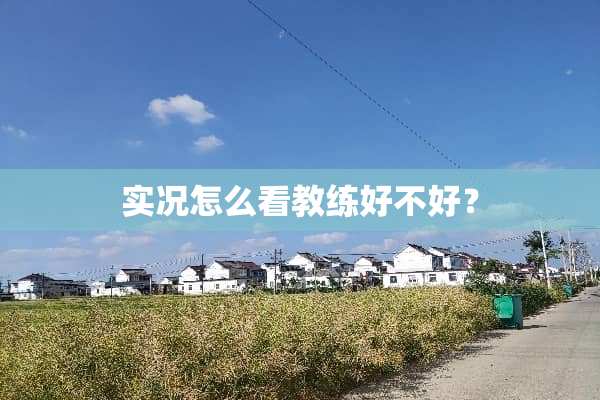 实况怎么看教练好不好？