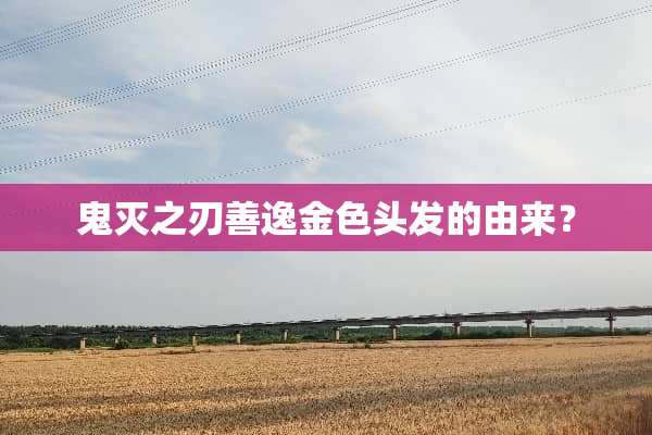 鬼灭之刃善逸金色头发的由来？