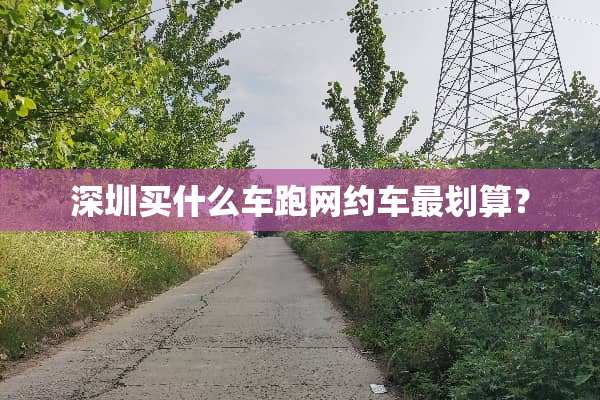 深圳买什么车跑网约车最划算？