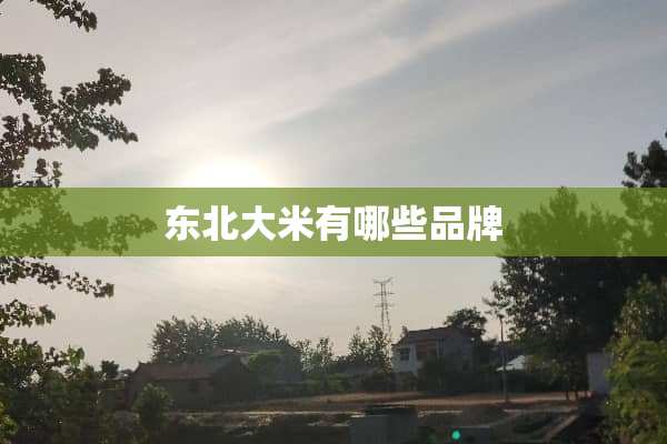 东北大米有哪些品牌