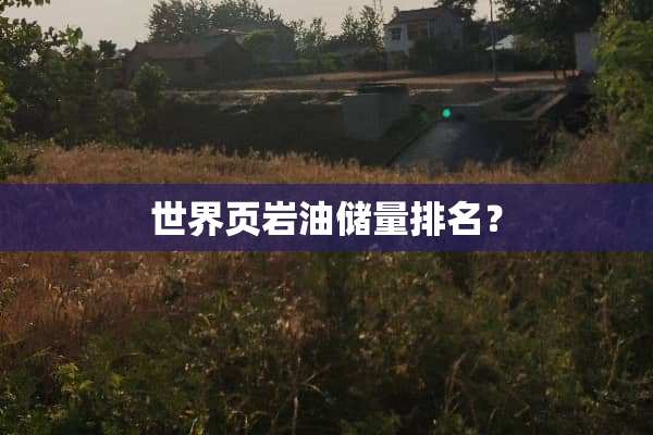 世界页岩油储量排名？