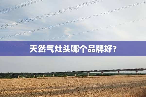 天然气灶头哪个品牌好？