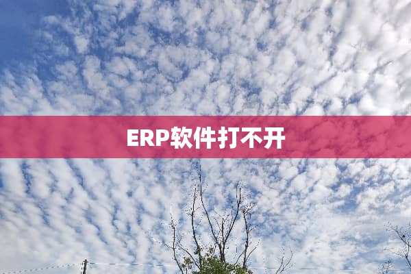 ERP软件打不开