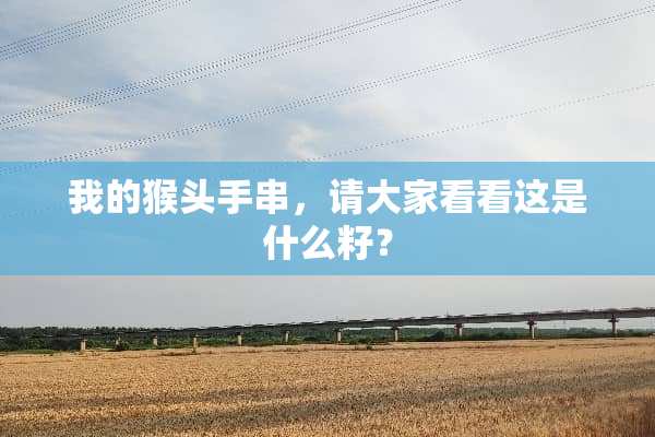 我的猴头手串，请大家看看这是什么籽？