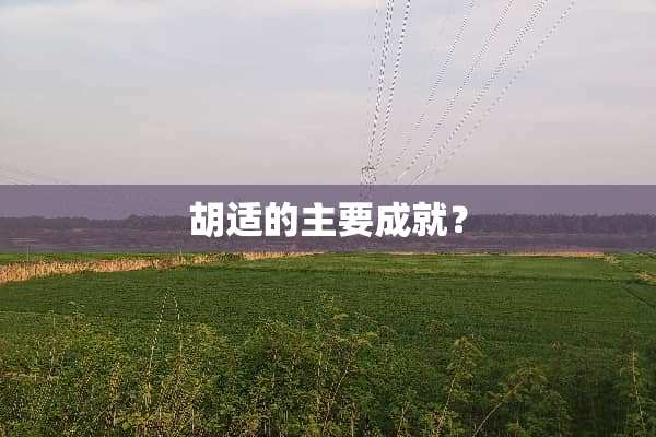 胡适的主要成就？