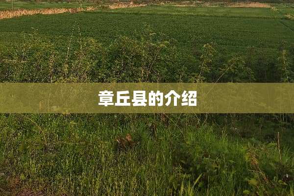 章丘县的介绍