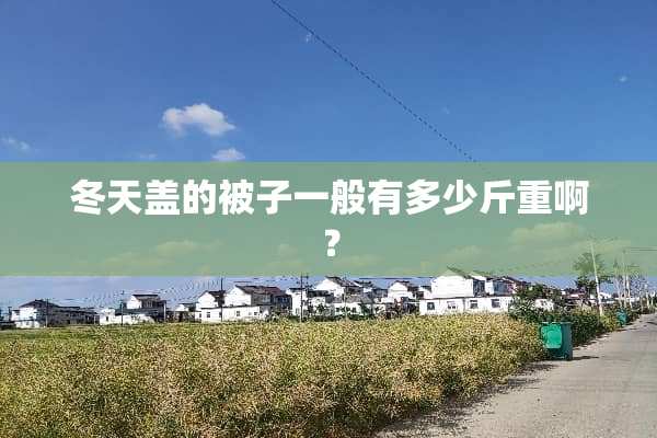 冬天盖的被子一般有多少斤重啊？