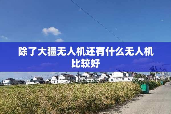 除了大疆无人机还有什么无人机比较好