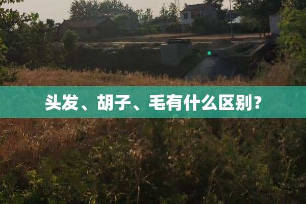 头发、胡子、毛有什么区别？