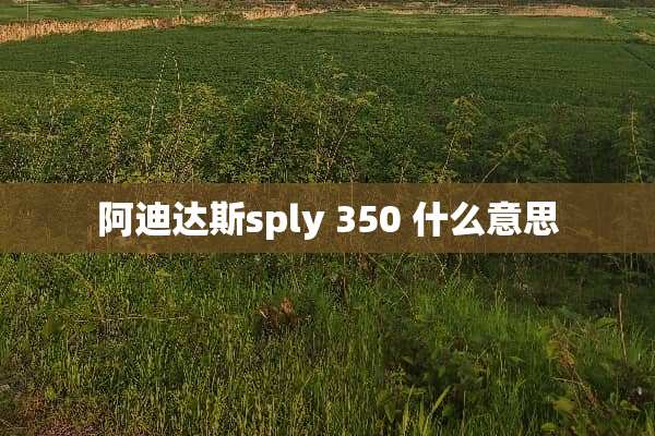 阿迪达斯sply 350 什么意思