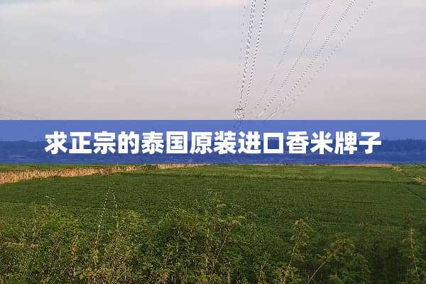 求正宗的泰国原装进口香米牌子