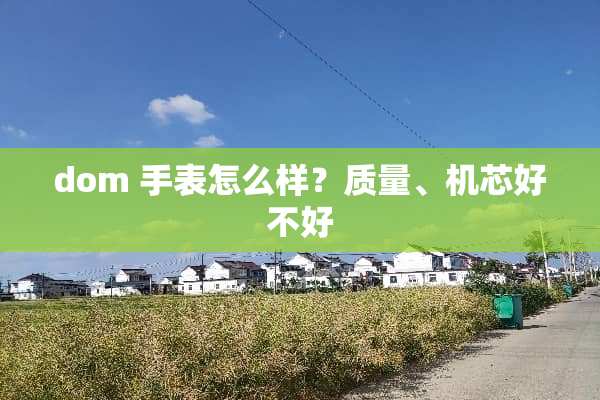 dom 手表怎么样？质量、机芯好不好