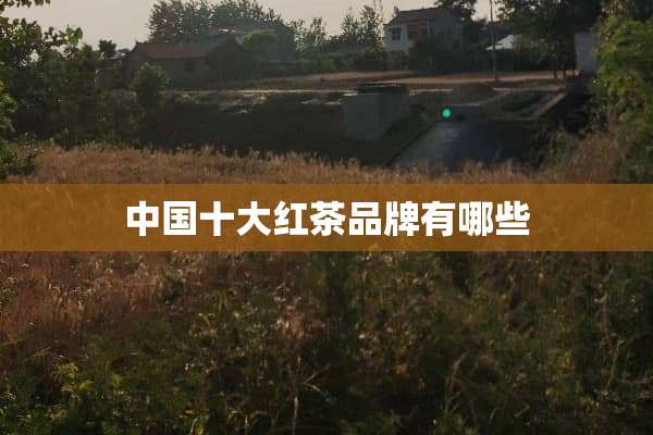 中国十大红茶品牌有哪些